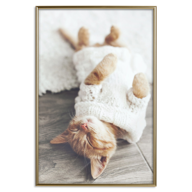 Wall Poster Lazy Cat - brown animal in a white sweater on a wooden floor 124455 additionalImage 16