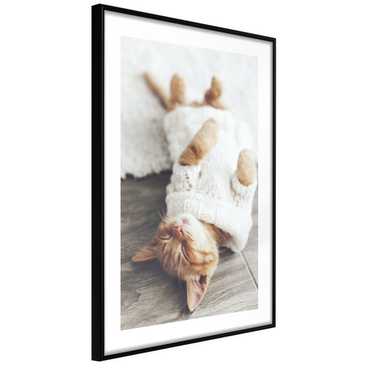 Wall Poster Lazy Cat - brown animal in a white sweater on a wooden floor 124455 additionalImage 11