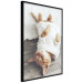 Wall Poster Lazy Cat - brown animal in a white sweater on a wooden floor 124455 additionalThumb 10