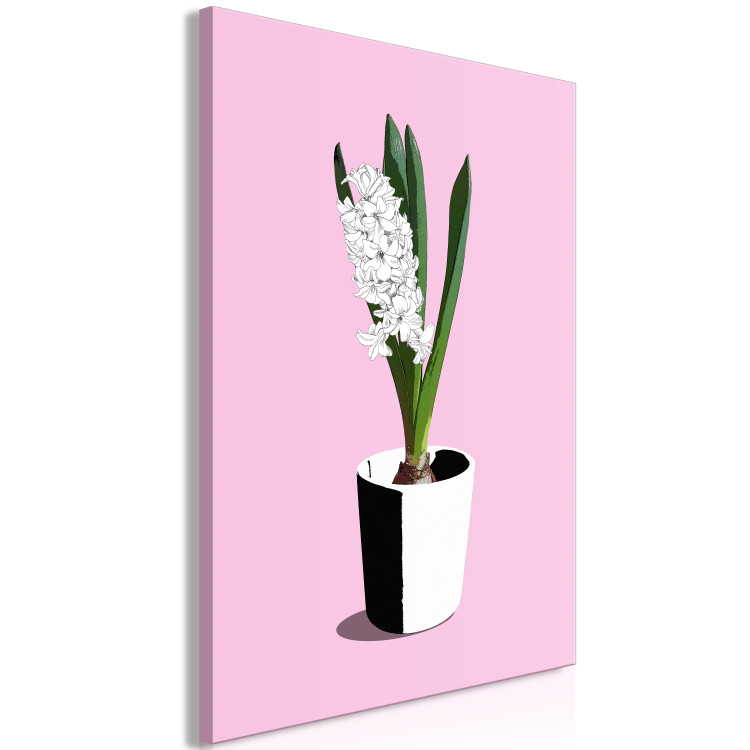 Canvas Print White hyacinth in black and white pot - composition on pink background 127255 additionalImage 2