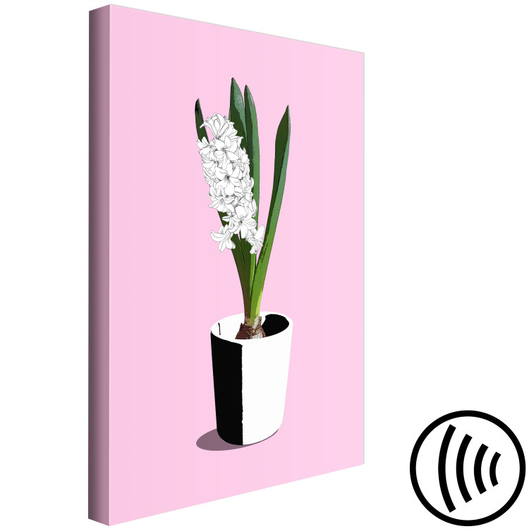 Canvas Print White hyacinth in black and white pot - composition on pink background 127255 additionalImage 6