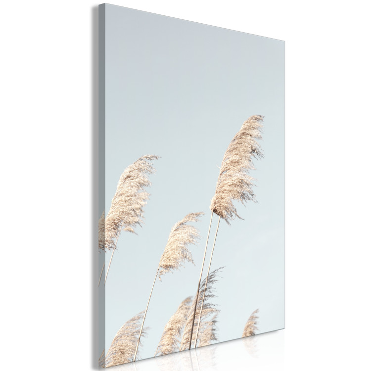 Canvas Feathered Ephemera (1-part) vertical - meadow landscape in boho style 129455 additionalImage 2