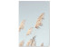 Canvas Feathered Ephemera (1-part) vertical - meadow landscape in boho style 129455