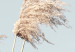 Canvas Feathered Ephemera (1-part) vertical - meadow landscape in boho style 129455 additionalThumb 5