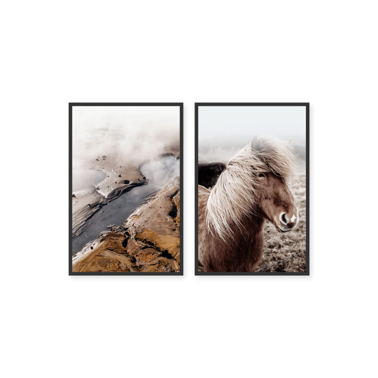 Wall gallery pictures Icelandic Fauna 131555 additionalImage 1