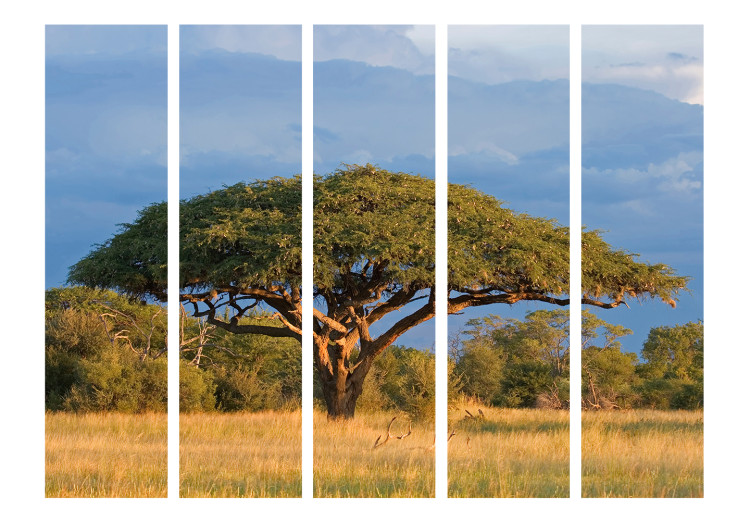 Room Divider African Acacia (5-piece) - landscape with a tree against the sky 132755 additionalImage 3