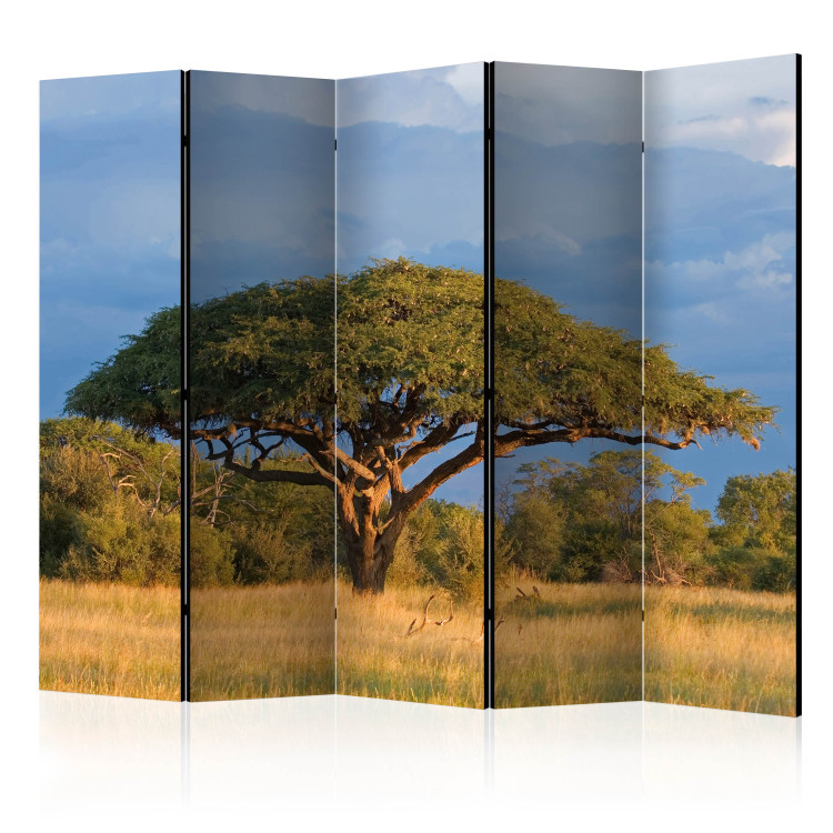 Room Divider African Acacia (5-piece) - landscape with a tree against the sky 132755