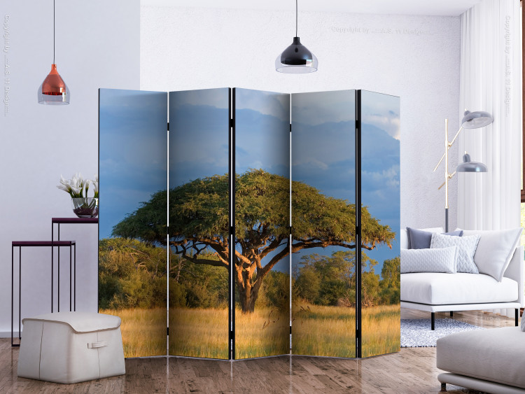 Room Divider African Acacia (5-piece) - landscape with a tree against the sky 132755 additionalImage 2