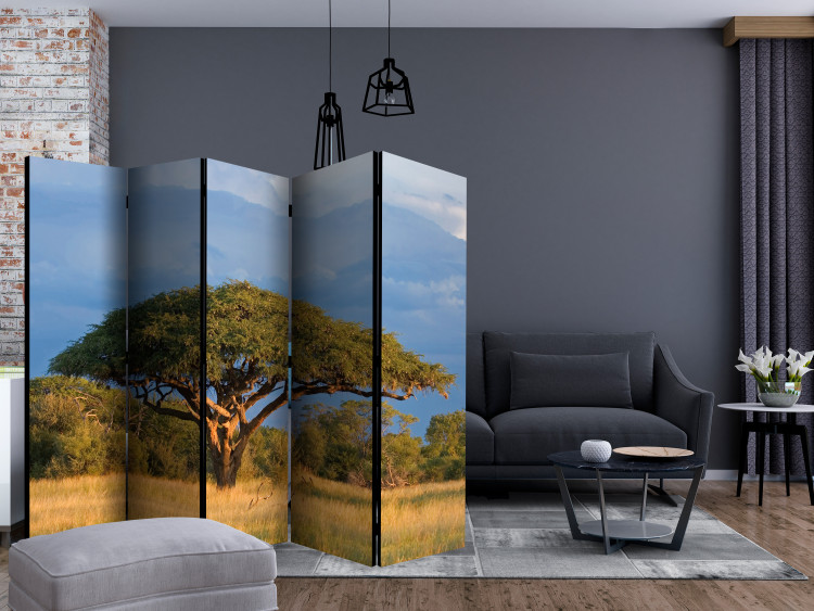 Room Divider African Acacia (5-piece) - landscape with a tree against the sky 132755 additionalImage 4