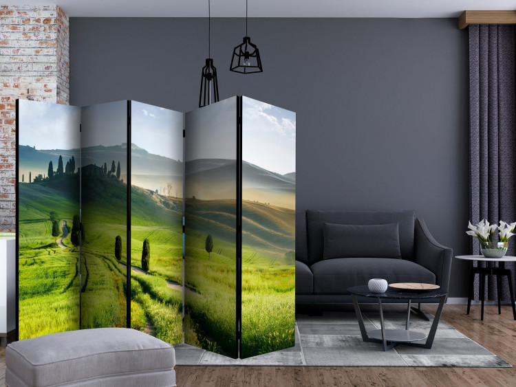 Room Separator Morning in the Countryside II (5-piece) - landscape of green fields against mountains 132955 additionalImage 4