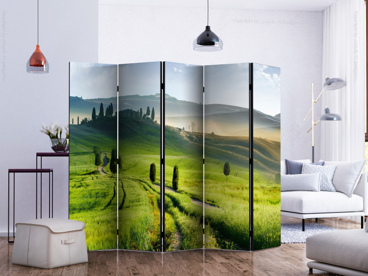 Room Separator Morning in the Countryside II (5-piece) - landscape of green fields against mountains 132955 additionalImage 2