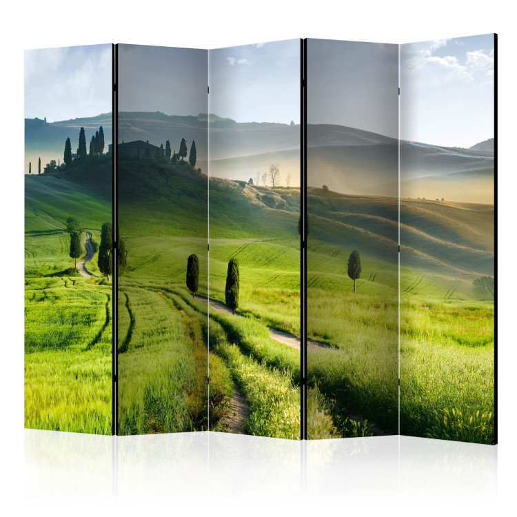 Room Separator Morning in the Countryside II (5-piece) - landscape of green fields against mountains 132955