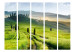 Room Separator Morning in the Countryside II (5-piece) - landscape of green fields against mountains 132955 additionalThumb 3