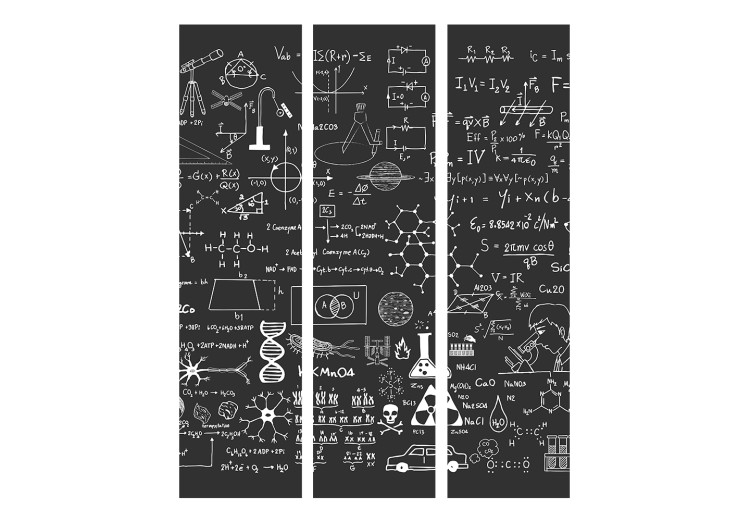 Room Divider Screen Scientific Board (3-piece) - black and white composition with inscriptions 133355 additionalImage 3