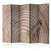 Folding Screen Wood Grain II - light texture of brown wood with distinct grains 133655