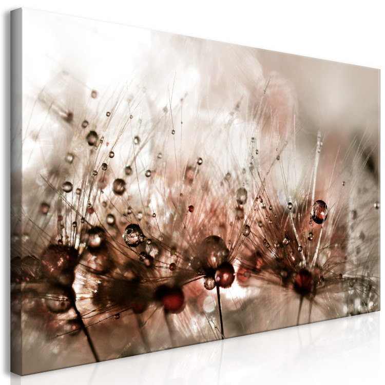 Large canvas print Dandelions After Rain II [Large Format] 136355 additionalImage 2
