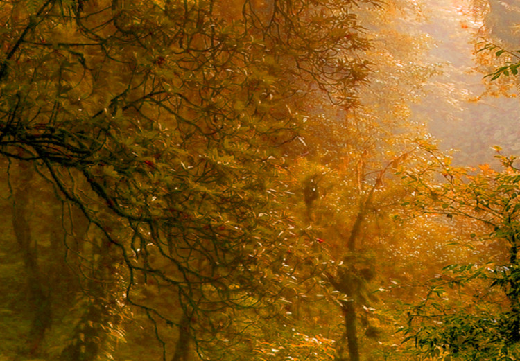 Large canvas print Magical Autumn II [Large Format] 137655 additionalImage 4