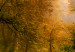 Large canvas print Magical Autumn II [Large Format] 137655 additionalThumb 4