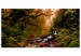 Large canvas print Magical Autumn II [Large Format] 137655