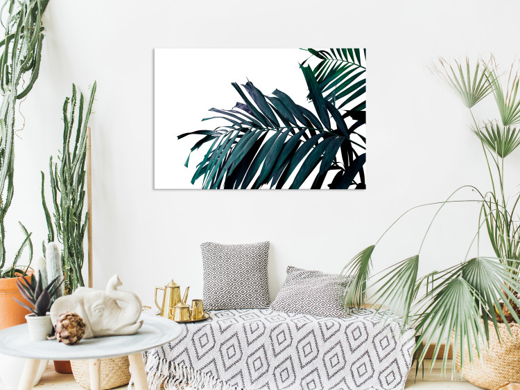Canvas Art Print Palm branch branch - dark blue-green palm leaves on a white background 149655 additionalImage 3