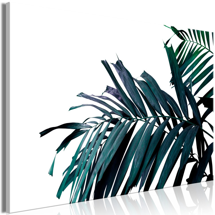 Canvas Art Print Palm branch branch - dark blue-green palm leaves on a white background 149655 additionalImage 2