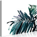 Canvas Art Print Palm branch branch - dark blue-green palm leaves on a white background 149655 additionalThumb 2