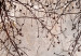 Canvas Decorative Tree - Delicate Twigs With Flowers in the Colors of the Morning 151455 additionalThumb 4