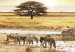 Canvas Dream about Africa 58555 additionalThumb 5