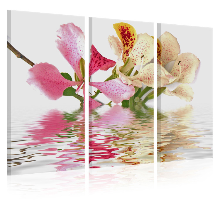 Canvas Print Orchid with colorful spots 58655 additionalImage 2