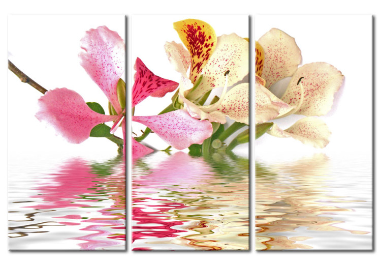 Canvas Print Orchid with colorful spots 58655