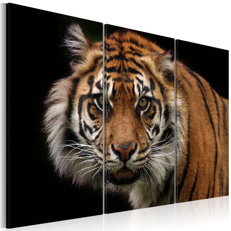 Canvas A wild tiger 58755 additionalImage 2