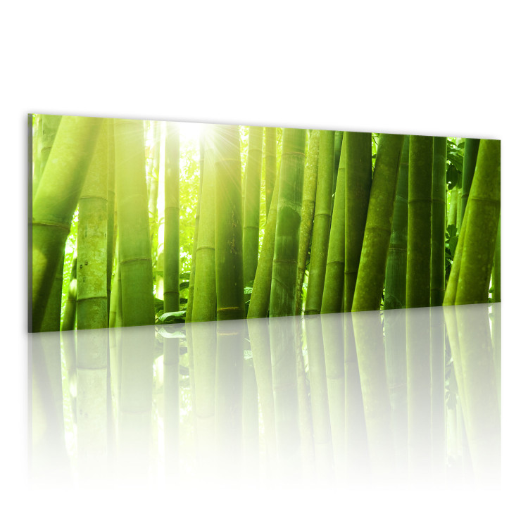 Canvas Print The bamboos 58855 additionalImage 2