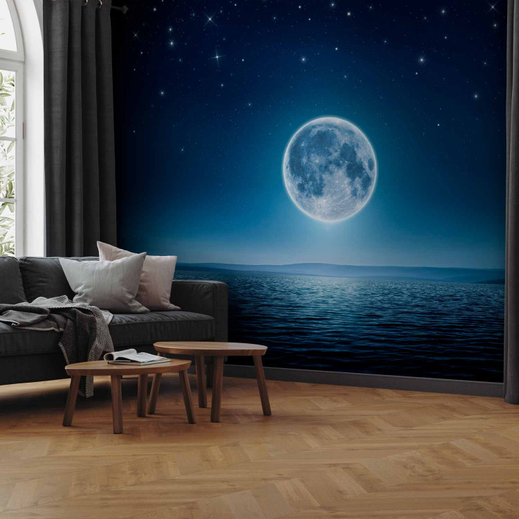 Photo Wallpaper Moonlit night 60555