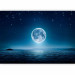 Photo Wallpaper Moonlit night 60555 additionalThumb 1