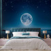 Photo Wallpaper Moonlit night 60555 additionalThumb 2