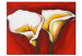 Canvas Art Print Charming Duo - Hand-painted Two White Calla Lilies on Red Background 97855