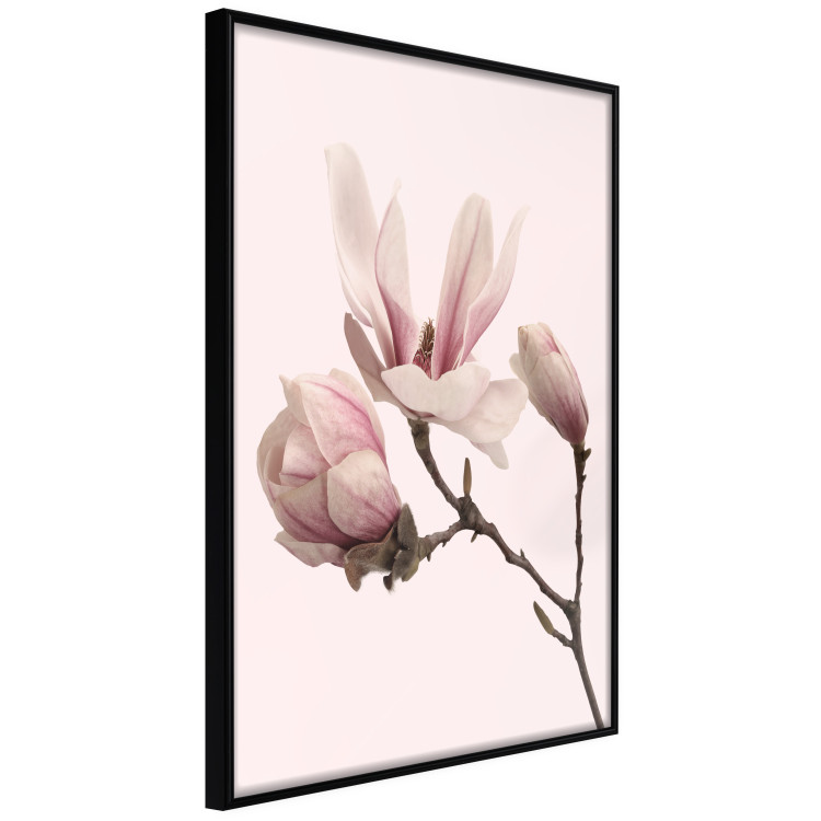 Wall art set Flowers and Art 124894 additionalImage 4