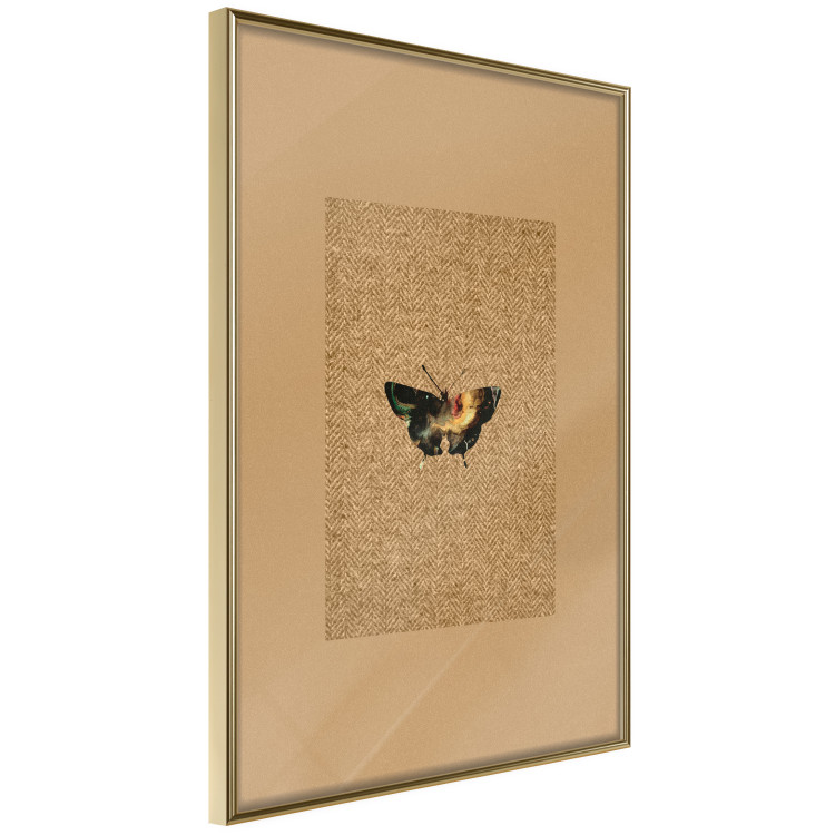 Poster Collector's Butterfly - autumn composition in brown color with an insect 118165 additionalImage 14