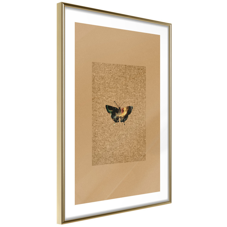Poster Collector's Butterfly - autumn composition in brown color with an insect 118165 additionalImage 6