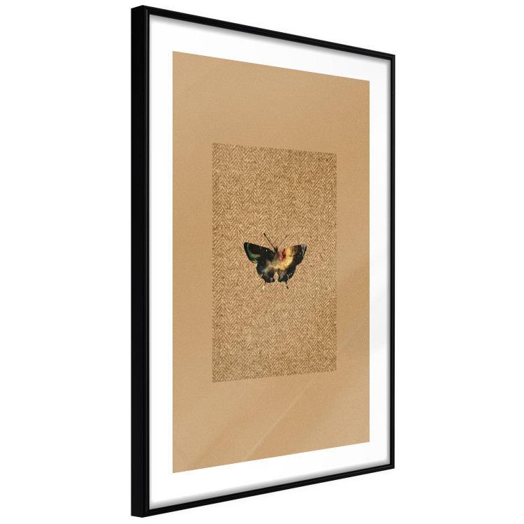 Poster Collector's Butterfly - autumn composition in brown color with an insect 118165 additionalImage 13