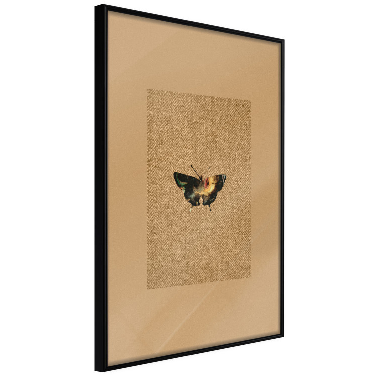 Poster Collector's Butterfly - autumn composition in brown color with an insect 118165 additionalImage 10