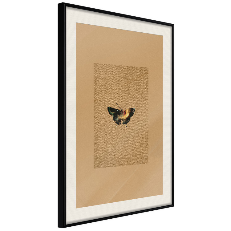 Poster Collector's Butterfly - autumn composition in brown color with an insect 118165 additionalImage 3