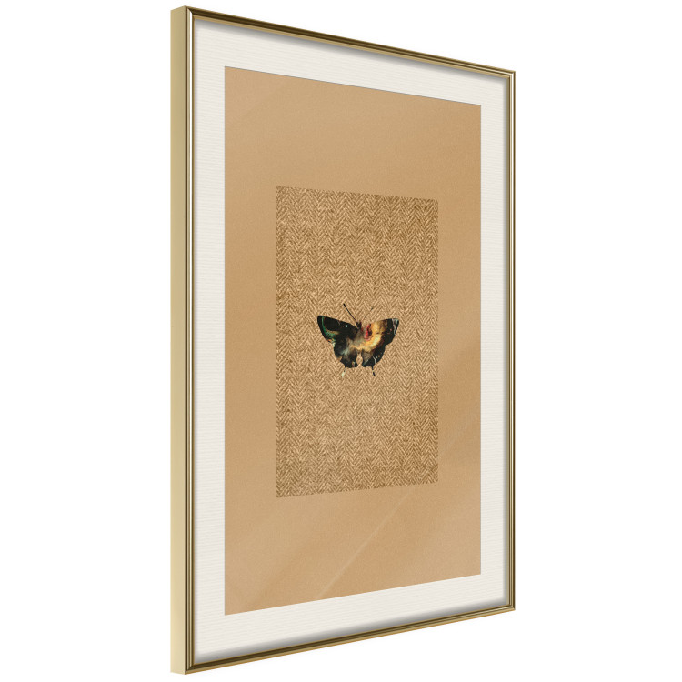 Poster Collector's Butterfly - autumn composition in brown color with an insect 118165 additionalImage 2