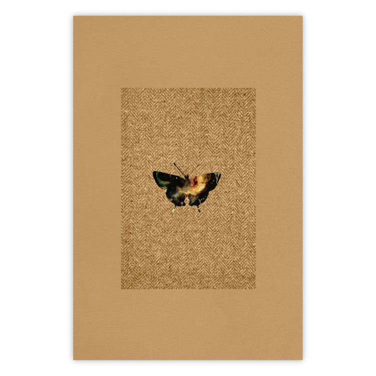 Poster Collector's Butterfly - autumn composition in brown color with an insect 118165