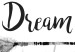 Poster Dream On - black English text above feathers hanging on an arrow 123365 additionalThumb 9