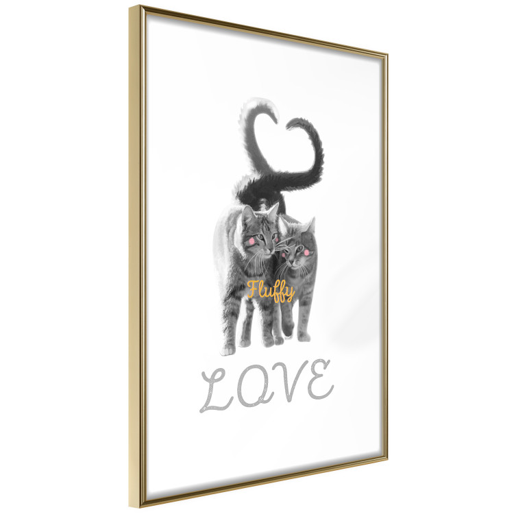 Poster Fluffy Love - gray cats and English text on a white background 125265 additionalImage 4