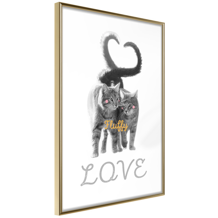 Poster Fluffy Love - gray cats and English text on a white background 125265 additionalImage 10