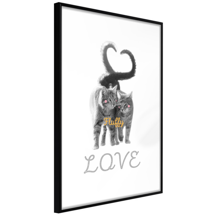 Poster Fluffy Love - gray cats and English text on a white background 125265 additionalImage 8