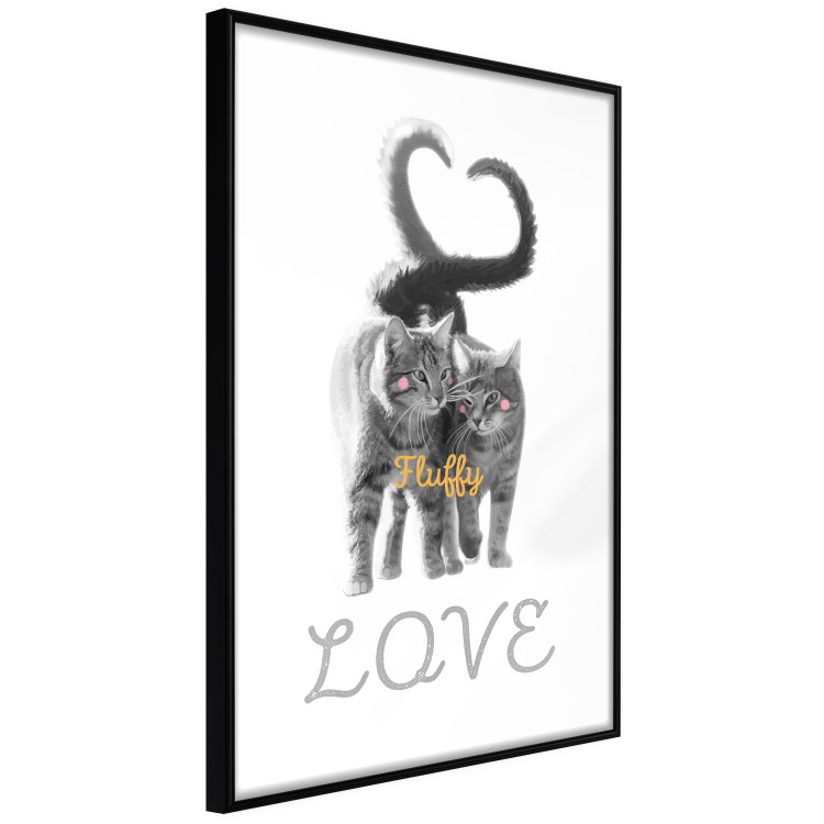 Poster Fluffy Love - gray cats and English text on a white background 125265 additionalImage 9