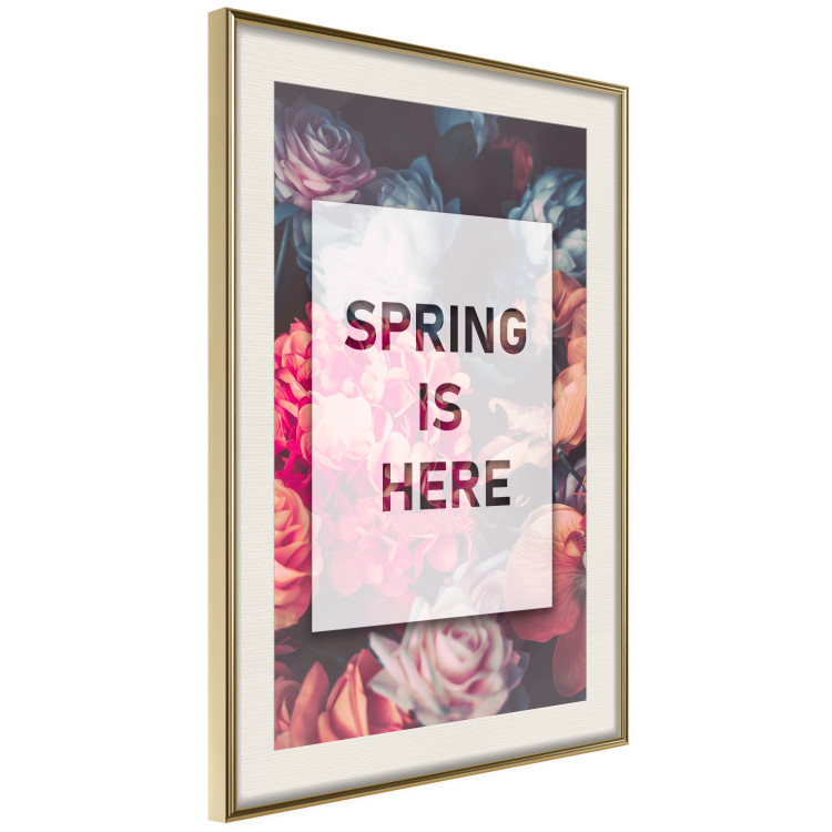 Wall Poster Spring Is Here - English inscriptions in a white frame on a background of flowers 127065 additionalImage 3
